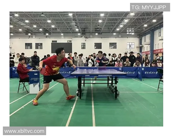 西安乒乓球队在锦标赛中的团队协作表现分析与总结 西安乒乓球队在锦标赛中的团队协作表现分析与总结