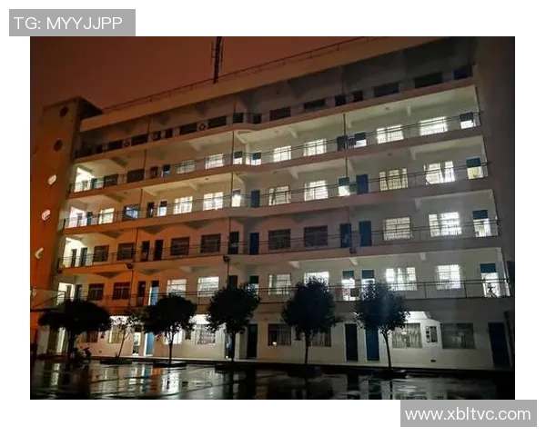 重庆排球队技术解析：从基本功到战术运用的全面探讨与提升