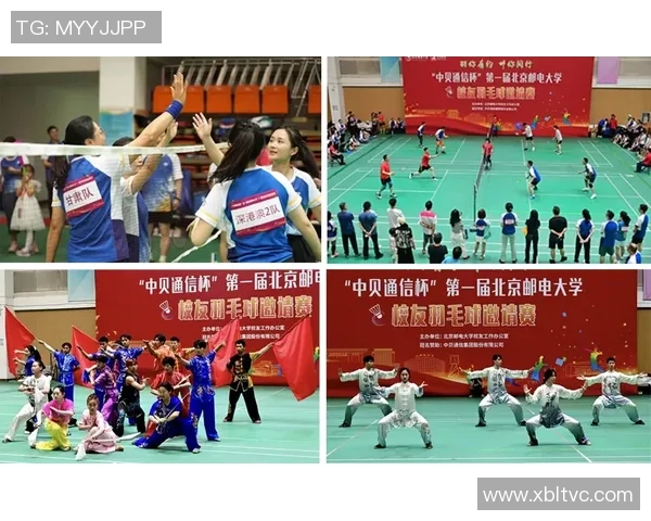 南京羽毛球队的崛起之路联合会杯背后的奋斗与荣耀