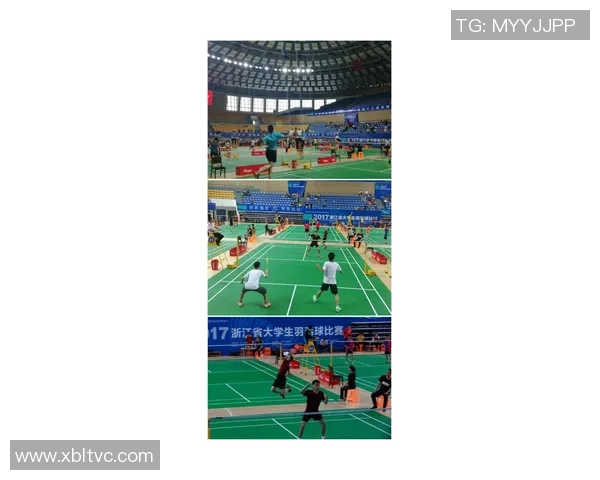 羽毛球技术排行榜揭晓成都羽毛球队荣获第五名佳绩