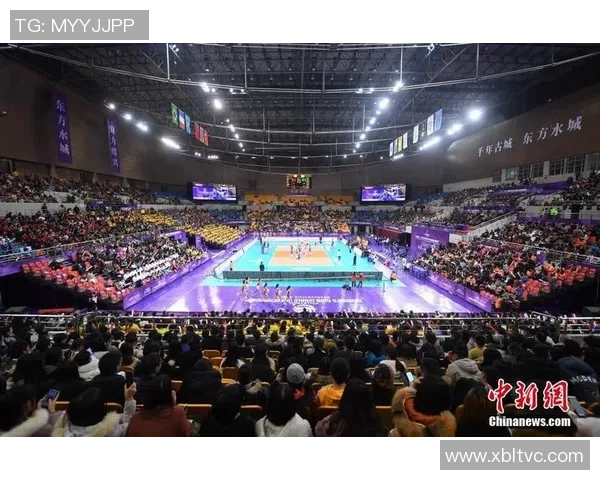 杭州排球队在世界锦标赛中的经验与表现分析